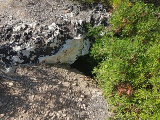 Necropoli Bizantina di Vendicari